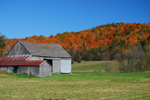 Fall On The Farm